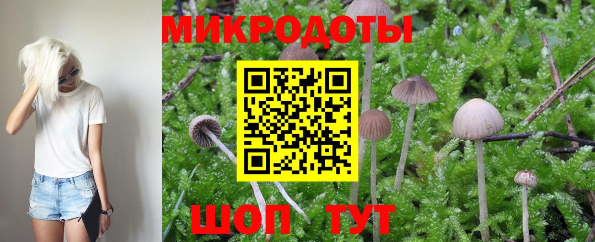Псилоцибиновые грибы Cubensis  Вход с VPN  Сосновоборск  Галлюциногенные грибы Psilocybine cubensis 